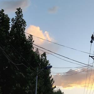 国产清纯女学生被弄高潮小说
